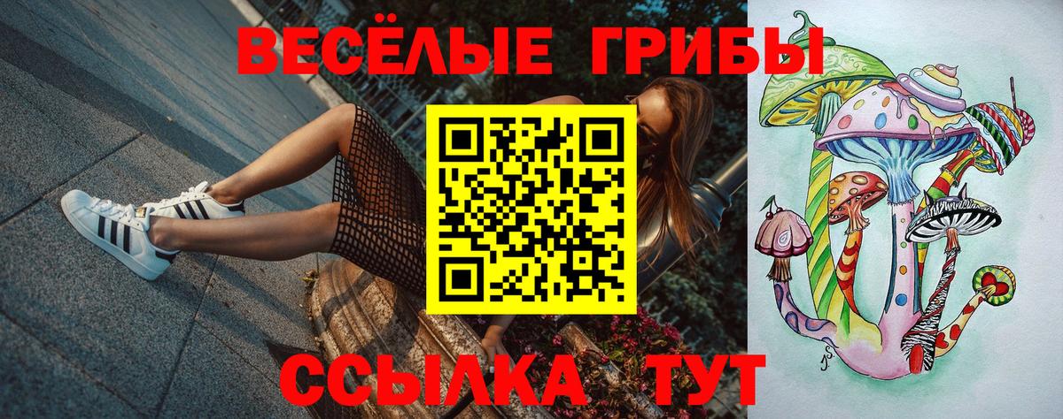 Сертолово  Псилоцибиновые грибы GOLDEN TEACHER  Вход с VPN 
