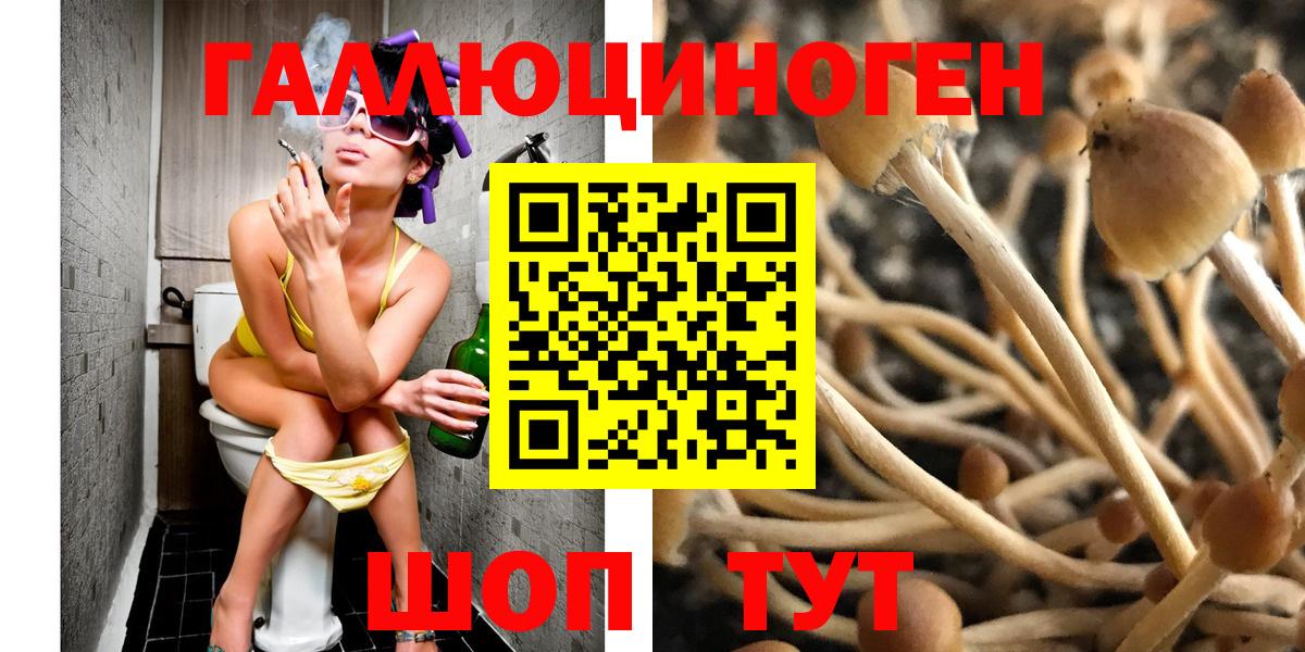 Псилоцибиновые грибы Cubensis Сертолово